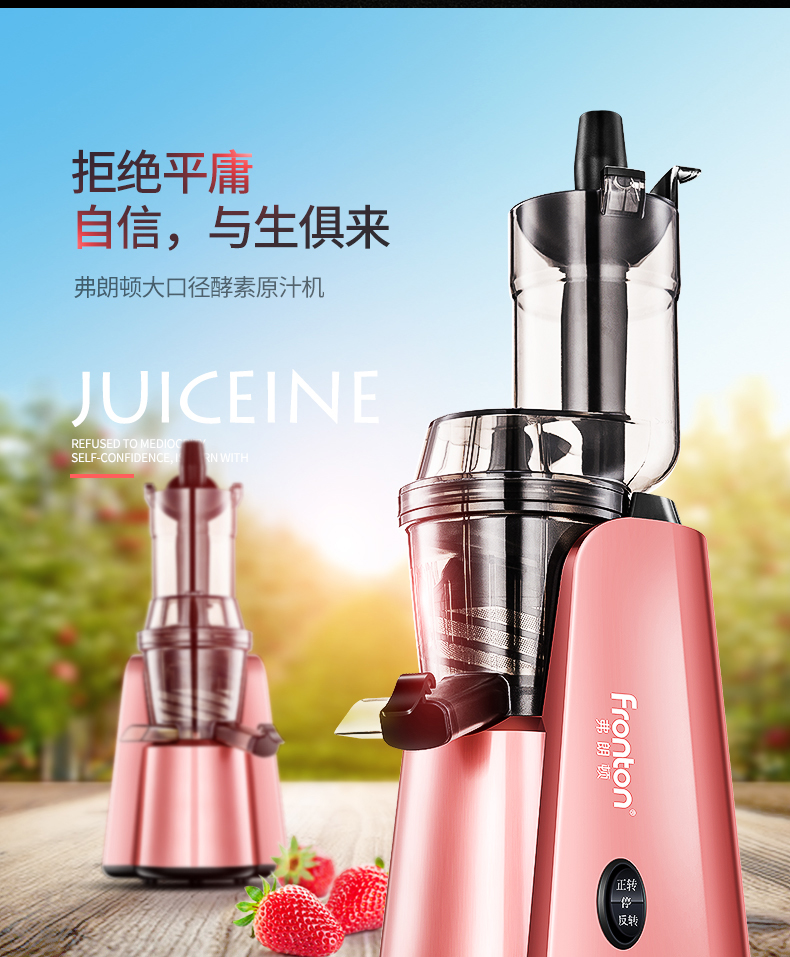 弗朗顿LWJ-801E榨汁机