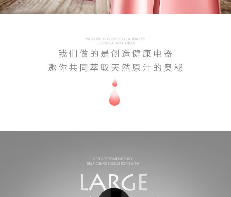 弗朗顿LWJ-801E榨汁机