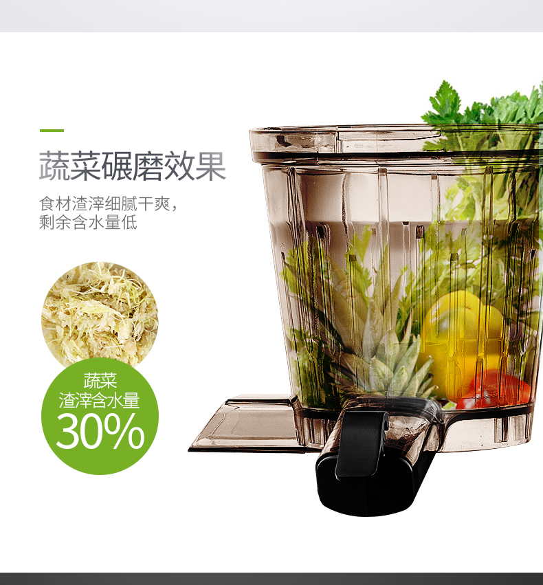 弗朗顿LWJ-801E榨汁机