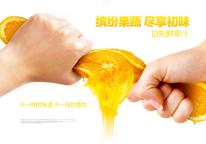 苏泊尔榨汁机JE11-250