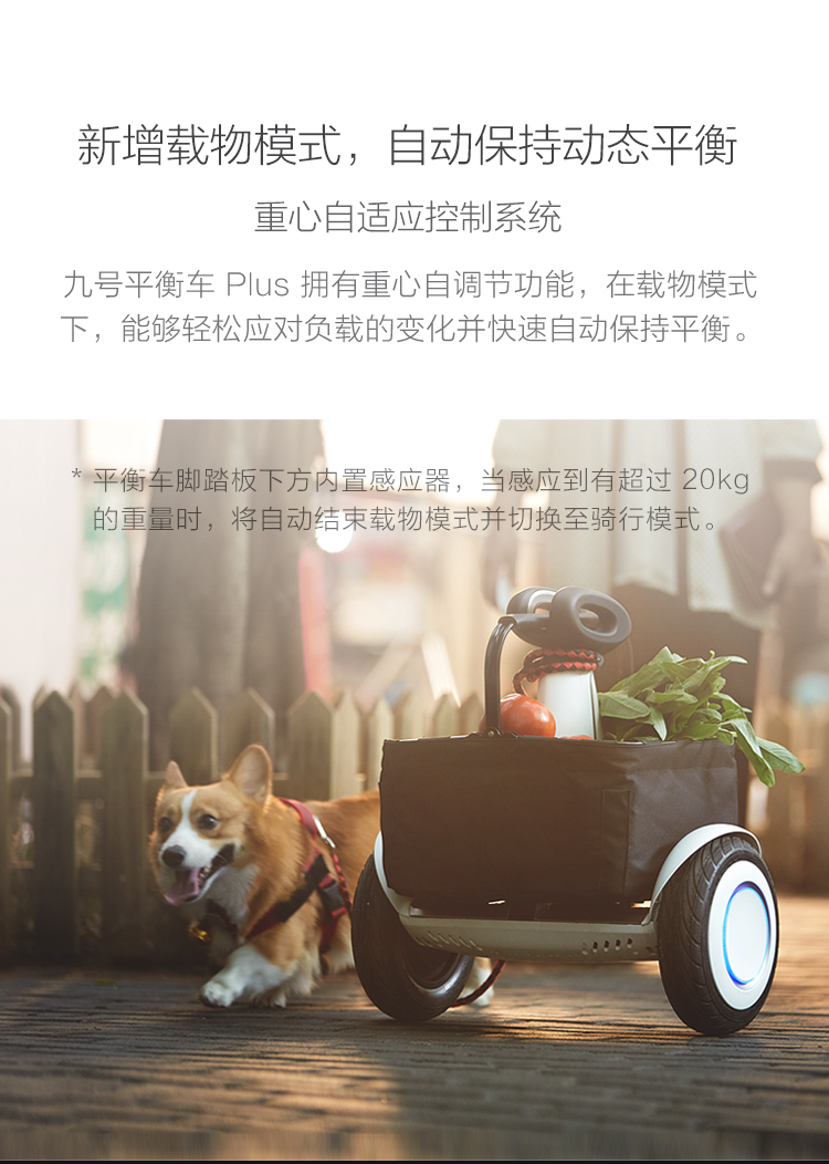 小米Ninebot9号体感车Plus