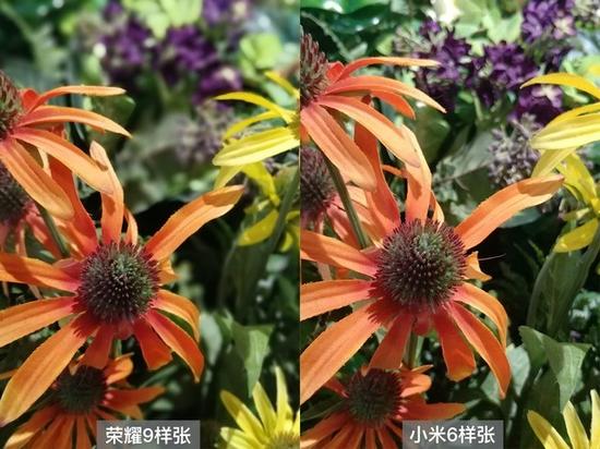 小米6和荣耀9哪个好_小米6和荣耀9手机区别对比评测