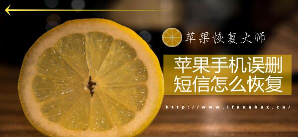苹果手机误删短信怎么恢复_苹果手机恢复误删短信的解决办法