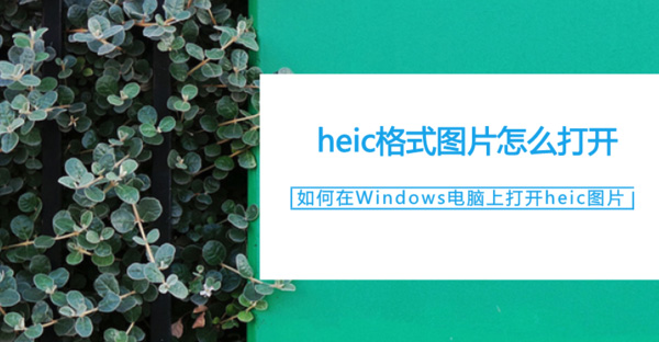 苹果heic格式如何转换jpg_heic格式图片怎么打开