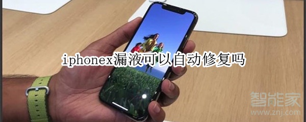 iphonex漏液可以自动修复吗