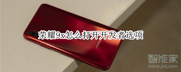 荣耀9x怎么打开开发者选项