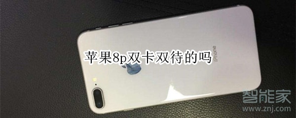 苹果8p双卡双待的吗 苹果8p双卡双待的吗