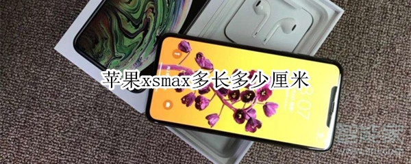 苹果xsmax多长多少厘米 苹果xsmax多长多少厘米