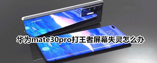 华为mate30pro打王者屏幕失灵怎么办 华为mate30pro打王者屏幕失灵怎么办