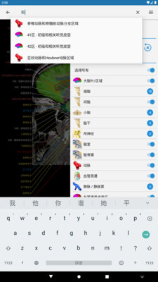 e-Anatomy