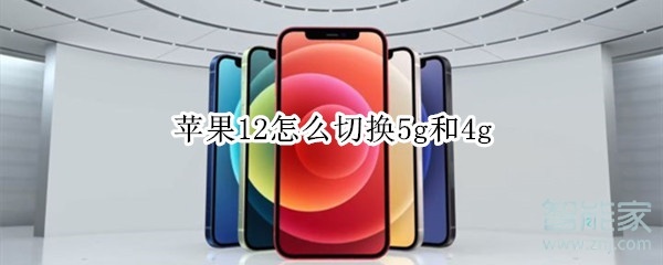 ƻ��12��ô�л�5g��4g,��ô�л�5g