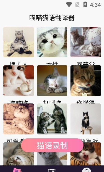 喵喵猫语翻译器