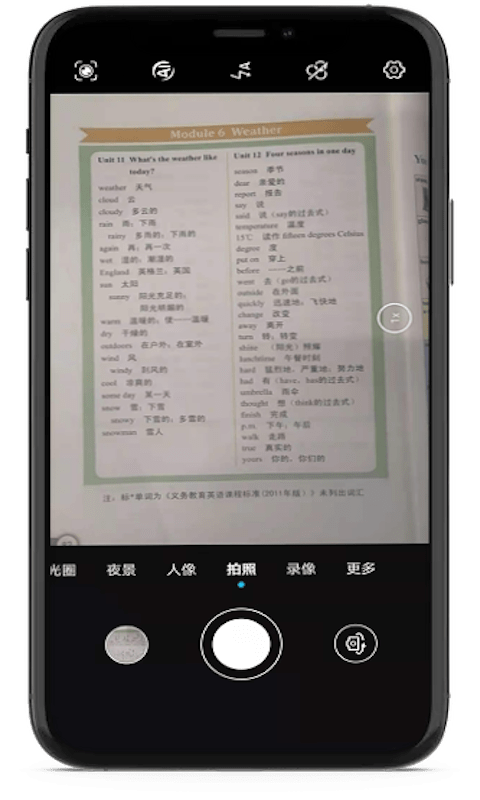 小猪单词王 小猪单词王