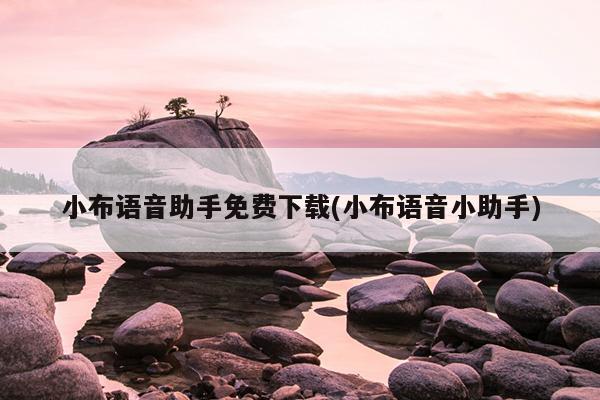 小布语音助手免费下载(小布语音小助手)