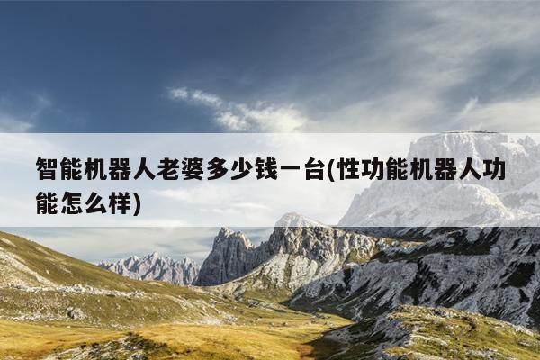 智能机器人老婆多少钱一台(性功能机器人功能怎么样)