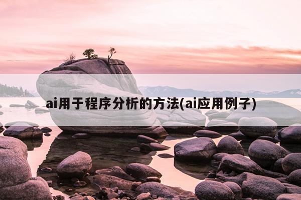 ai用于程序分析的方法(ai应用例子)