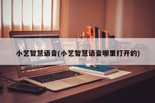 小艺智慧语音(小艺智慧语音哪里打开的)