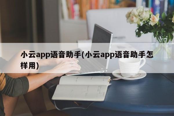 小云app语音助手(小云app语音助手怎样用)