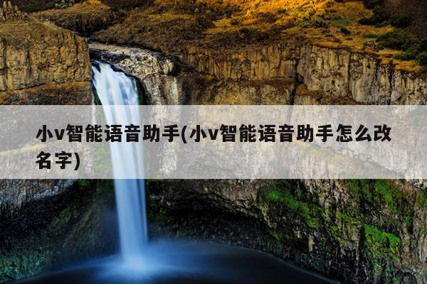 小v智能语音助手(小v智能语音助手怎么改名字)