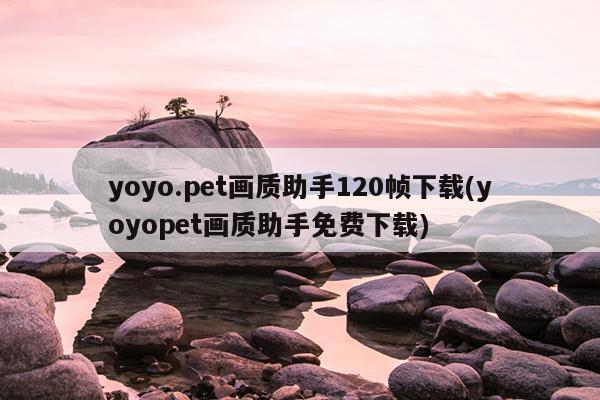 yoyo.pet画质助手120帧下载(yoyopet画质助手免费下载)
