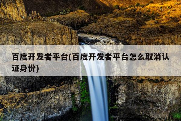 百度开发者平台(百度开发者平台怎么取消认证身份)