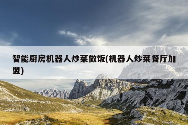 智能厨房机器人炒菜做饭(机器人炒菜餐厅加盟)