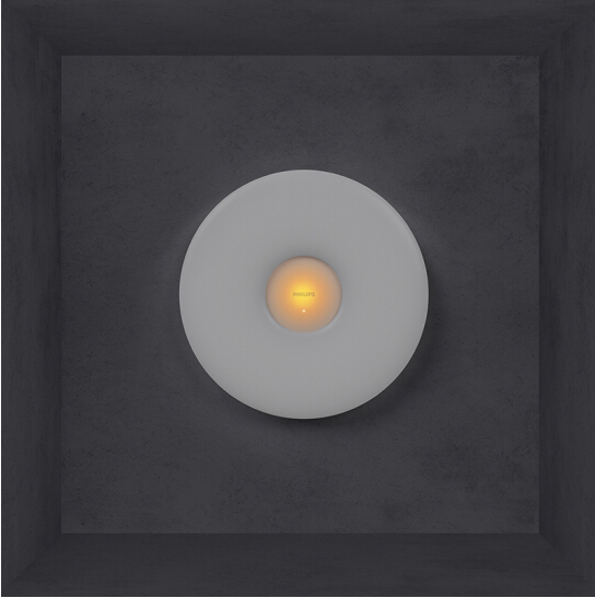 飞利浦智睿吸顶灯图片