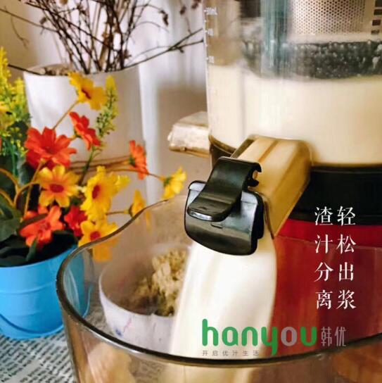 韩优原汁机B006图片