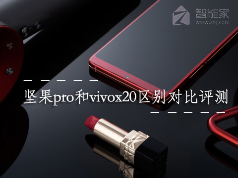 坚果pro2和vivox20哪个好 坚果pro和vivox20区别对比评测