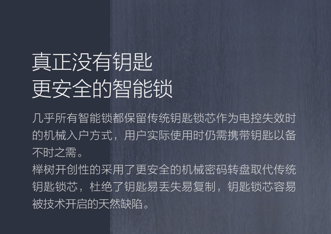 米家榉树智能安全转盘锁图片