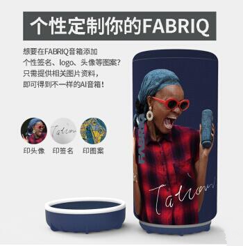 德仕FABRIQ智能音箱图片