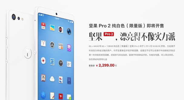 坚果Pro2纯白色版和普通版有什么区别