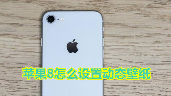 苹果8怎么设置动态壁纸
