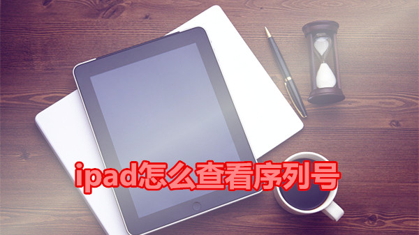 ipad怎么查看序列号