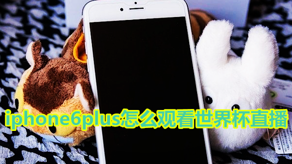 iphone6plus怎么观看世界杯直播
