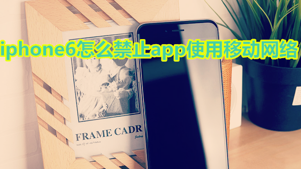 iphone6怎么禁止app使用移动网络