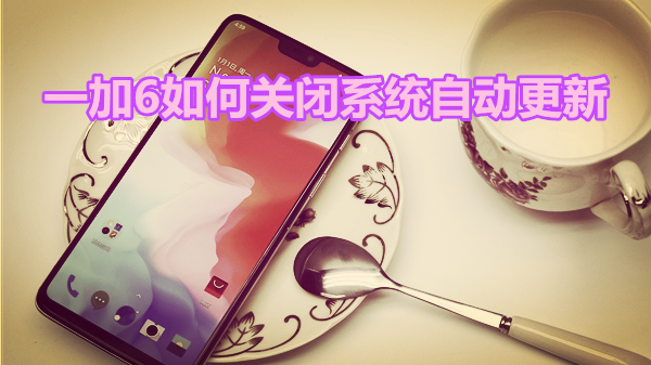 一加6如何关闭系统自动更新