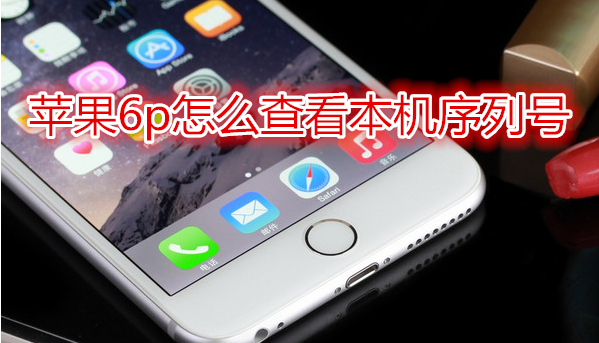 苹果6plus怎么查看本机序列号