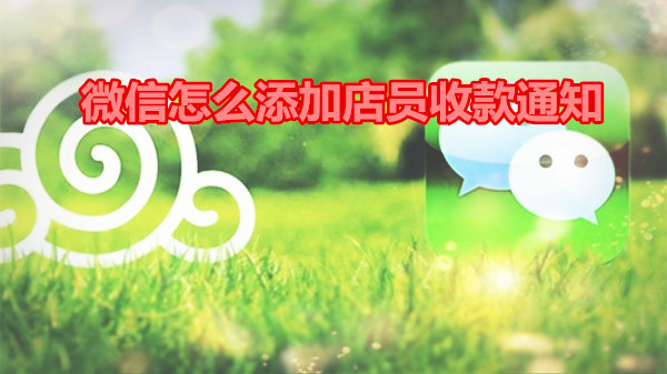 微信怎么添加店员收款通知