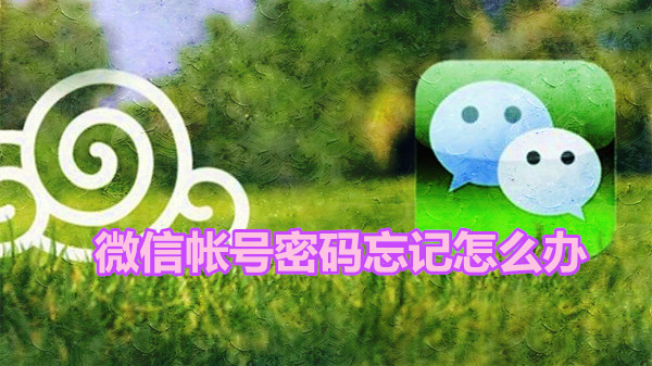 微信帐号密码忘记怎么办