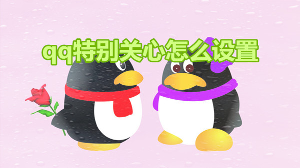qq特别关心怎么设置