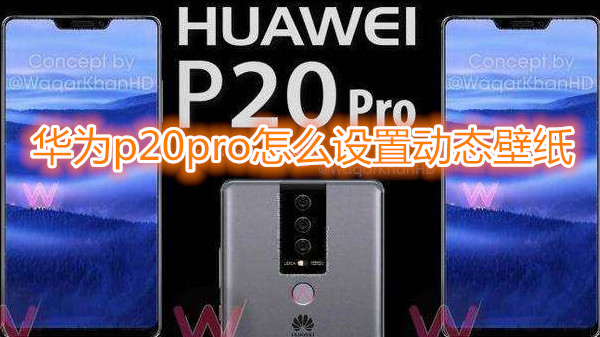 华为p20pro怎么设置动态壁纸