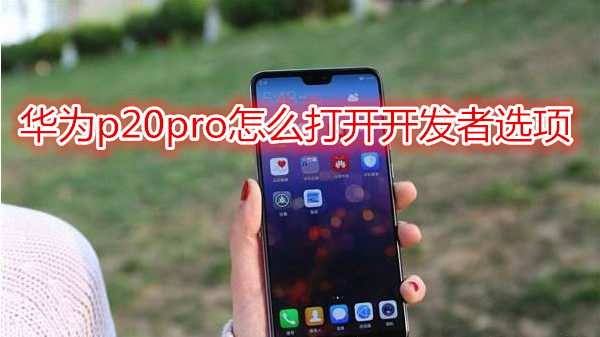 华为p20pro怎么打开开发者选项