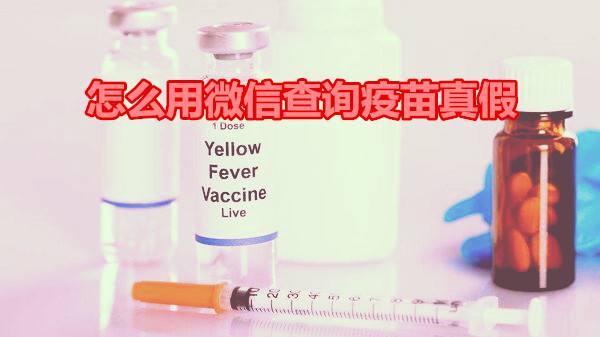 怎么用微信查询疫苗真假