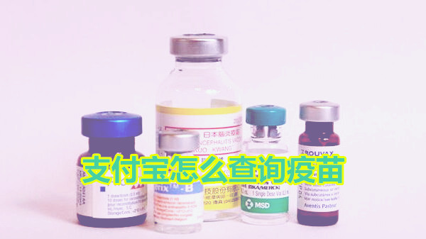 支付宝怎么查询疫苗