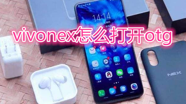 vivonex怎么打开otg