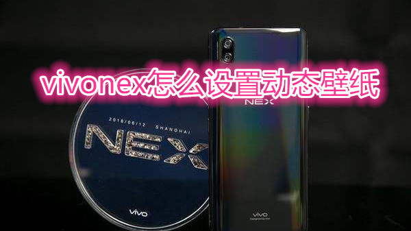 vivonex怎么设置动态壁纸