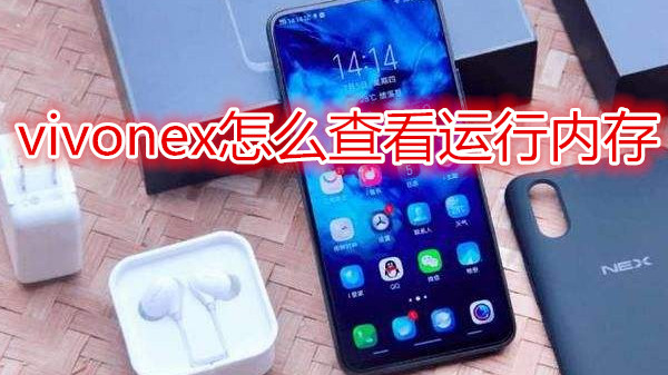 vivonex怎么查看运行内存