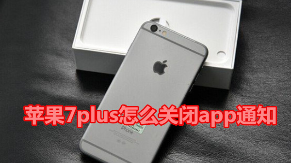 苹果7plus怎么关闭app通知