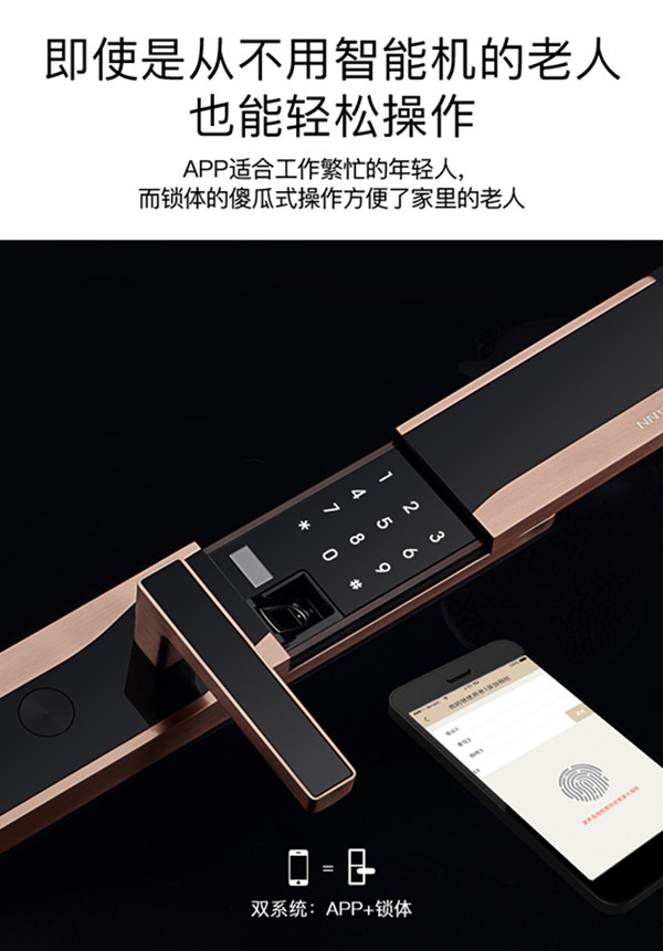 德施曼D830指纹锁图片